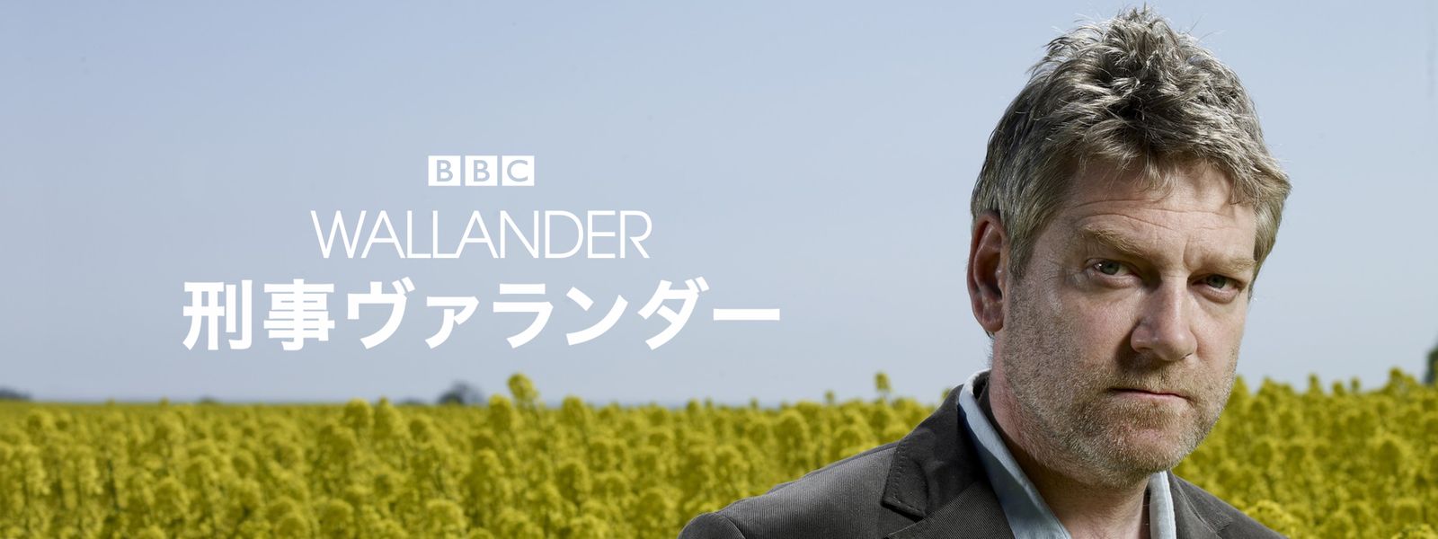 ソース画像を表示