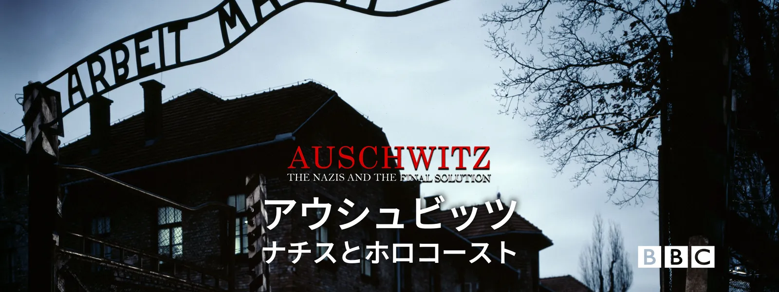 アウシュビッツ ナチスとホロコースト が見放題 Hulu フールー お試し無料