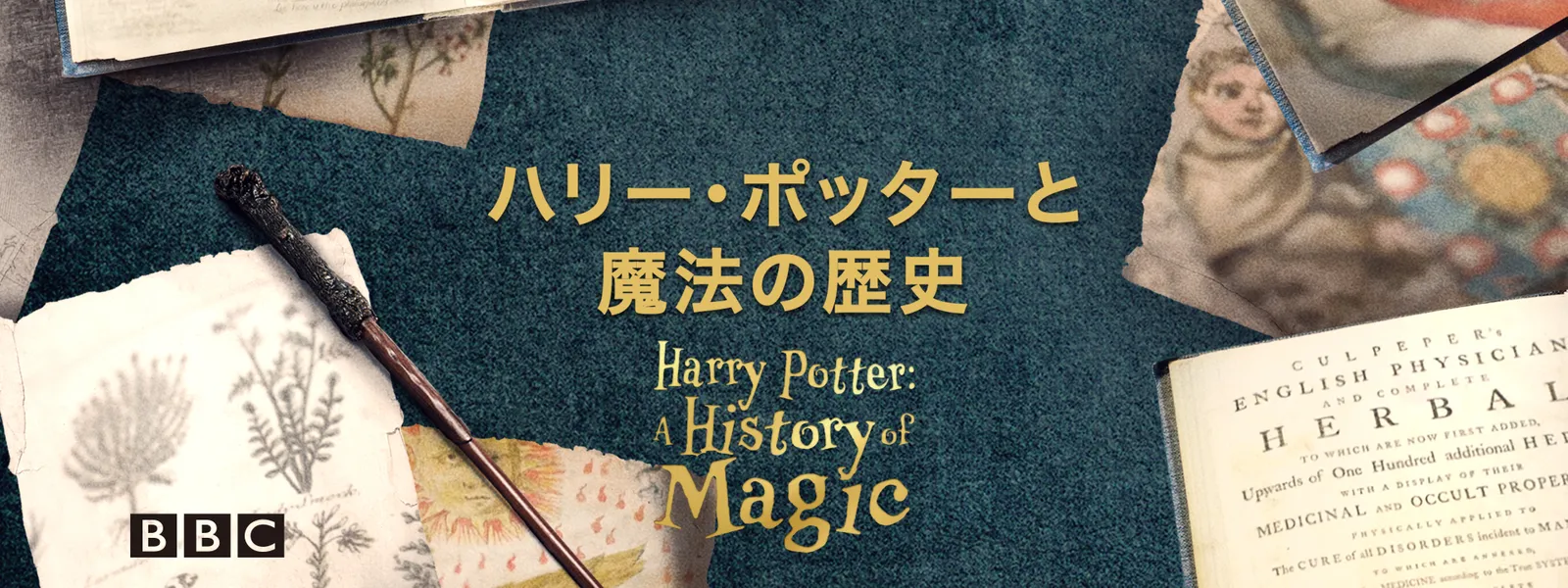 ハリー ポッターと魔法の歴史 が見放題 Hulu フールー お試し無料