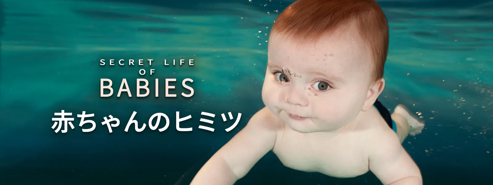 赤ちゃんのヒミツ が見放題 Hulu フールー お試し無料