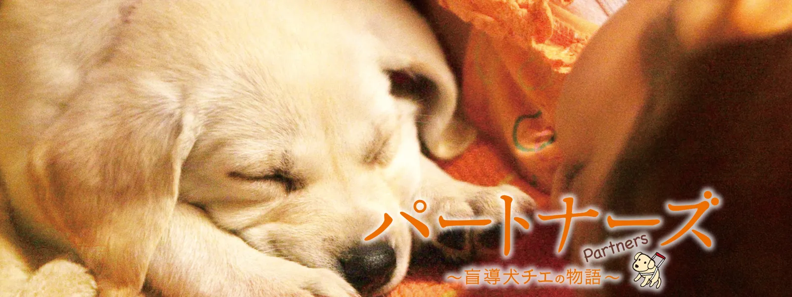 パートナーズ 盲導犬チエの物語 が見放題 Hulu フールー お試し無料 パートナーズ 盲導犬チエの物語 が見放題 Hulu フールー お試し無料