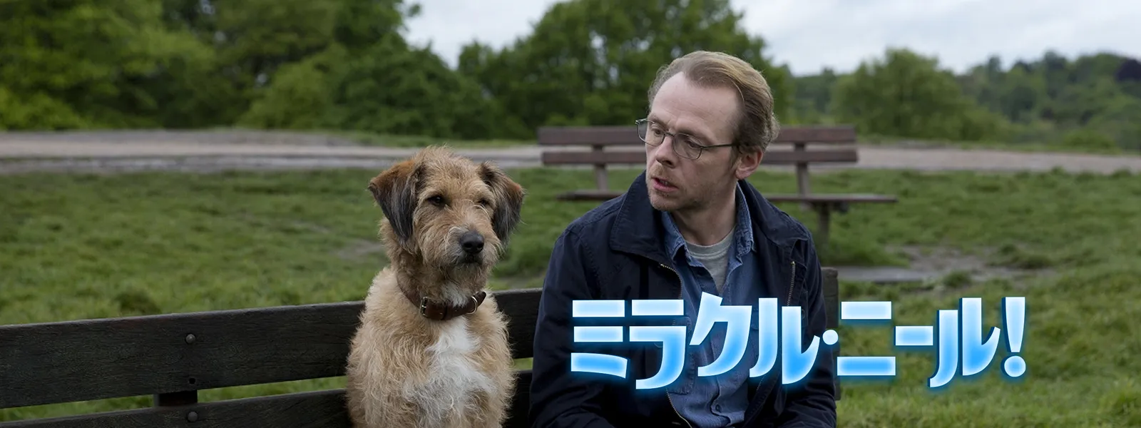 ミラクル ニール が見放題 Hulu フールー お試し無料