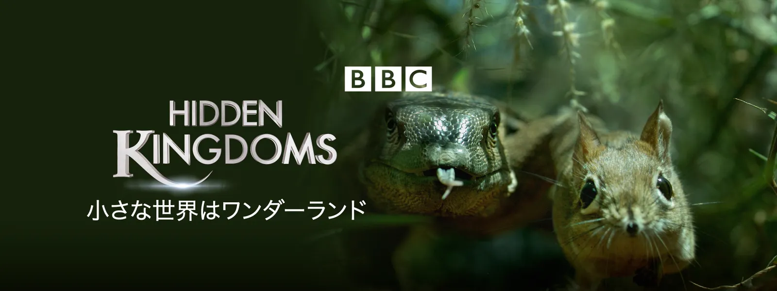 世界 小さな