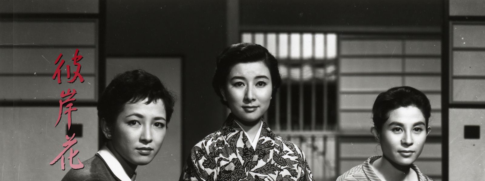 彼岸花 が見放題！ Hulu(フールー) 【お試し無料】