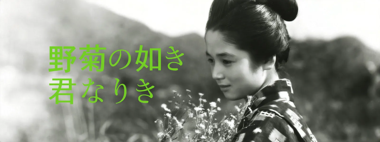 野菊の如き君なりき が見放題 hulu フールー お試し無料