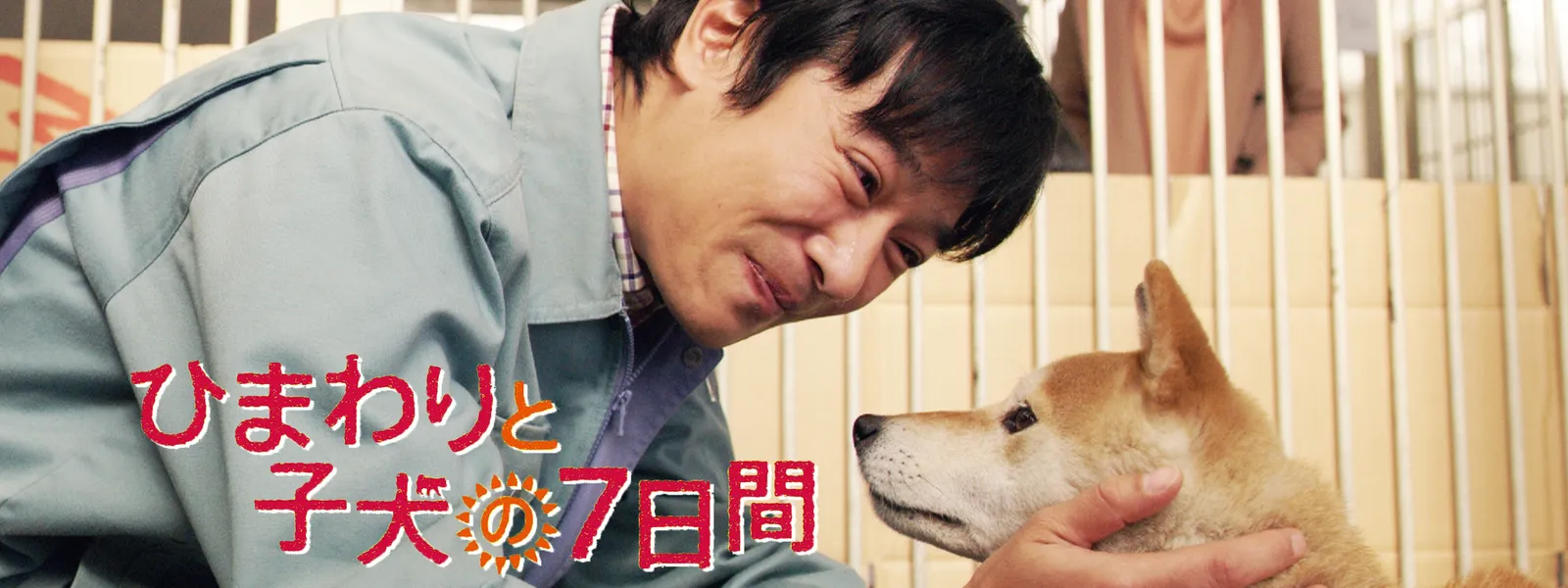 ひまわりと子犬の7日間 が見放題 Hulu フールー お試し無料